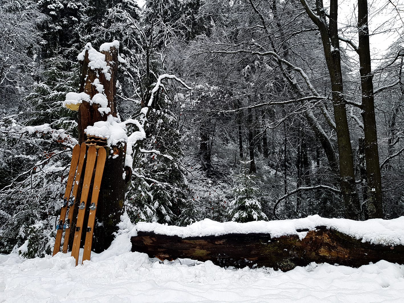 Blackcomb 90 - Gallery 9
